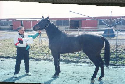 �����̹��н� ����