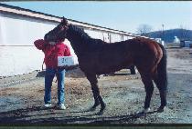 ��������Ƽ�� (HAKUNA MATTEA) ����