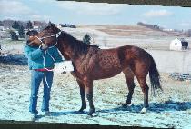 ���Ϸ�����Ʈ (ISLAND PORT) ����