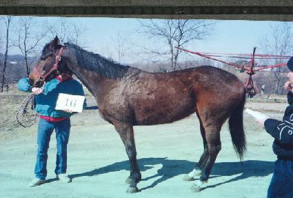 �����丮 ����