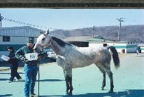 ���̽�Ƽ (HIGHCITY) ����