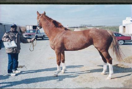 �÷�����Ʈ ����