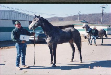 �����Ŀ������� ����