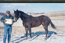 �ǵ鸰����ũ (FIDDLIN�� FRANK) ����