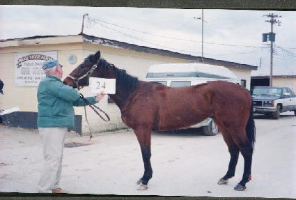 �۶��̵������� ����