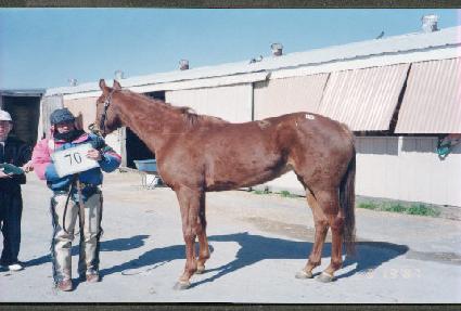 �����鸮������ ����