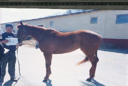 ����� ����