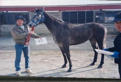 ���ڸ��̹��� ����