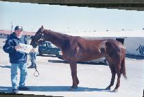 ���ϸ��� (BAILIWICK) ����