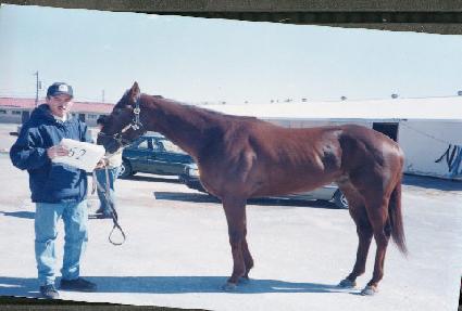 ���ϸ��� ����