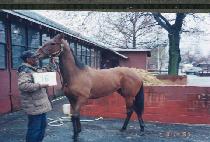 �׸�Į���� (GREEK COLORS) ����