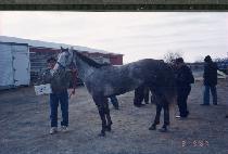 ����Ʈ���� (PERFECT SWING) ����