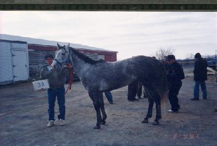 ����Ʈ���� ����