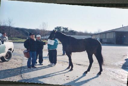 ���ʽ��� ����