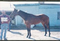 ���Ұ��� (GETT��UM GARY) ����