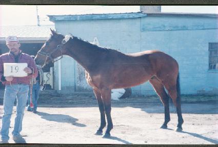 ���Ұ��� ����