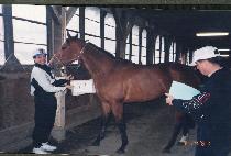 �ö������� (FLYING FAME) ����