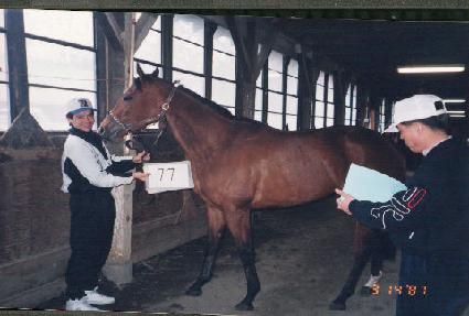 �ö������� ����