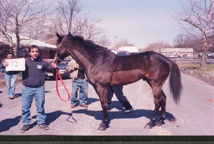 ũ����Ƽ����Ʈ ����