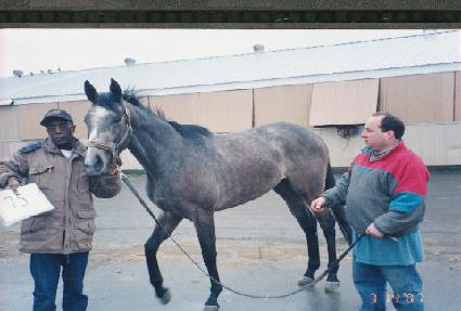 �����շ��巹��ũ ����