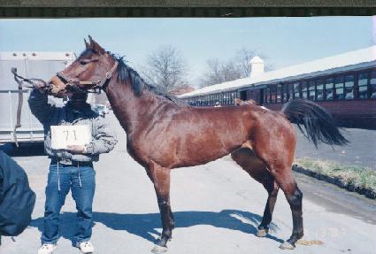 ���̿����� ����