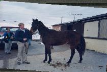 Ű���� (KEE WEALTH) ����