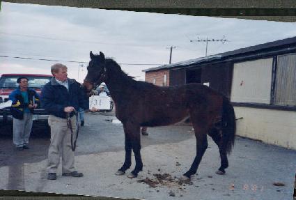 Ű���� ����