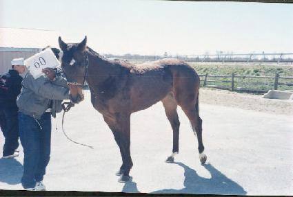 �����̽����� ����