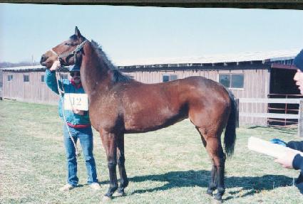 �÷�����������Ʈ ����