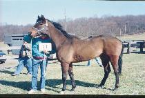 ��Ʈ�� (TEMPT ME) ����