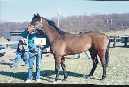 ��Ʈ�� ����