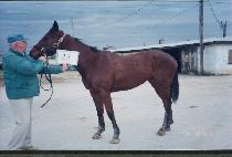 ���ӹ���� (I��M MOVIN�� ON) ����