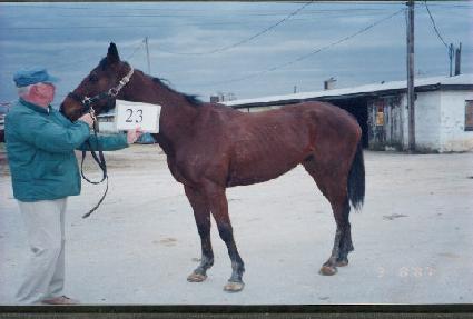 ���ӹ���� ����