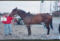 ũ�缼�̴������� (CRUSADER SMOOTH) ����