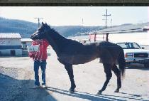 �������̷��̵� (PAR FOR MY LADY) ����