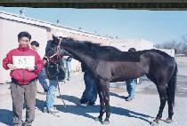 ����Ƽ������ (DESTINY TURNS) ����