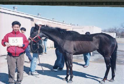 ����Ƽ������ ����