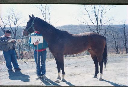 Ÿ����귱�� ����