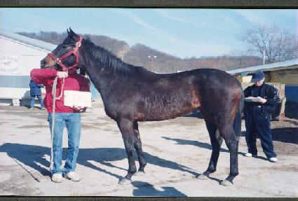 �����ｽ ����