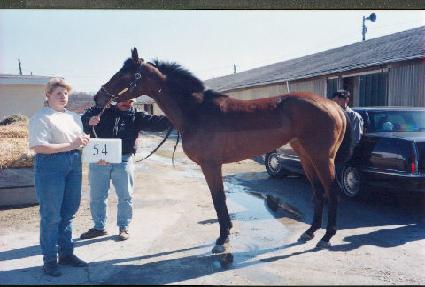 ��������� ����