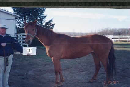 �ƶ��ȣ�������� ����