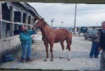 �׷��̽������ҷ� (GRACED BY HALO) ����