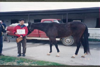 ���Ϸ��� ����