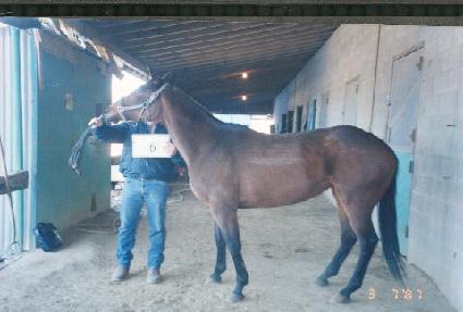 ���������̽� ����