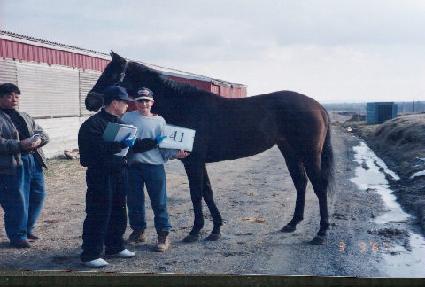 �ö��̷κ� ����