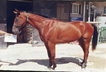 �۶��̵�ȣũ ����