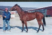 �������� (RAYUELA) ����