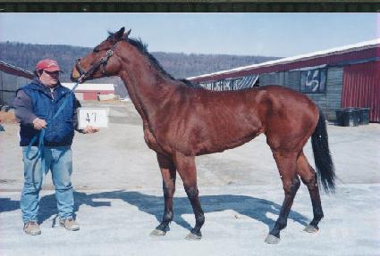 �������� ����