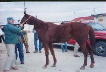 �۶��̵������ (GLIDING TO DALLAS) ����
