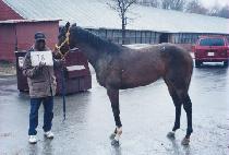 �輿 (JAXELL) ����